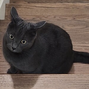 Fundraising Page: Cassandra Martin